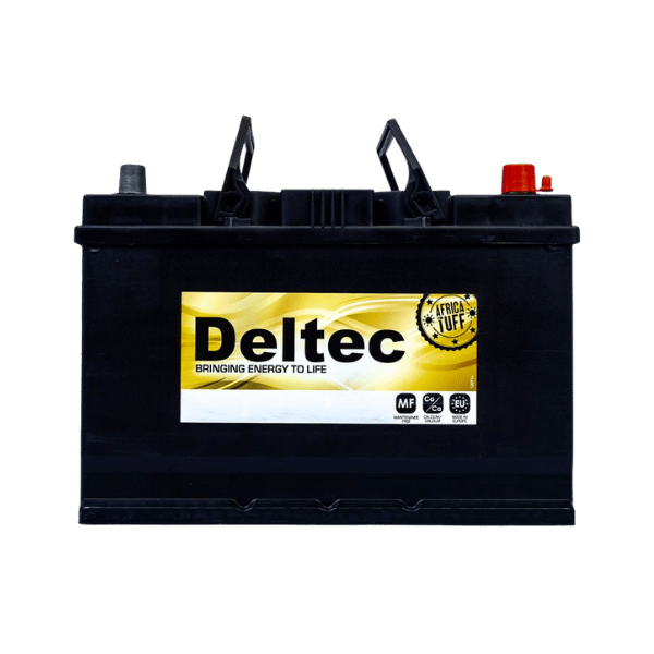 Deltec Gold Automotive Battery 656