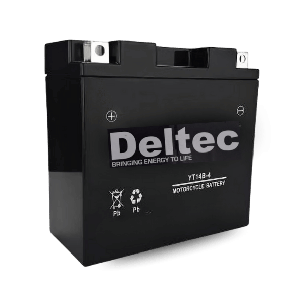  Deltec Motorcycle FB-YT14B-4/FB-YT14B-BS Battery
