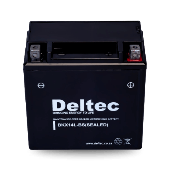Deltec Motorcycle FBX14L-BS Battery